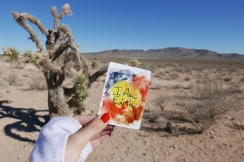 信用黑名單查詢系統(tǒng)