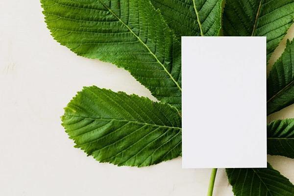 信用卡分期實(shí)際利率計(jì)算器工具怎么算？利率多少合適？