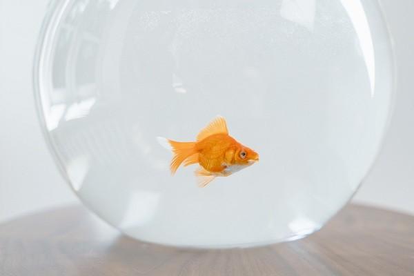 中國信用卡協(xié)商還款電話是多少？銀行不同意我該怎么辦？