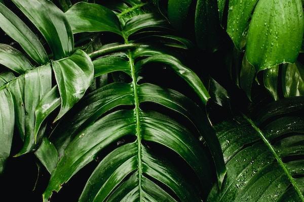 興業(yè)消費(fèi)金融還款方式？分期還款利息多少？