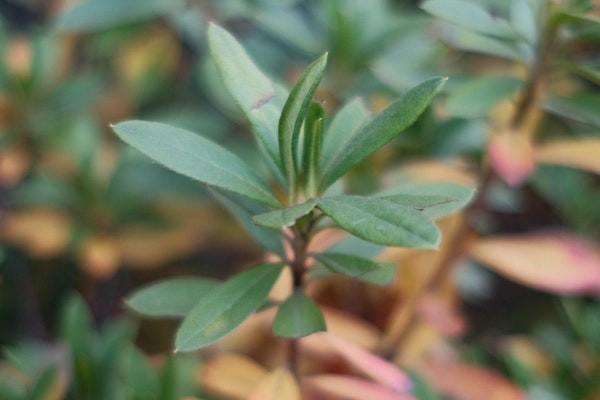 拍拍貸利息太高可以拒絕還款嗎？還款延期方式有哪些？
