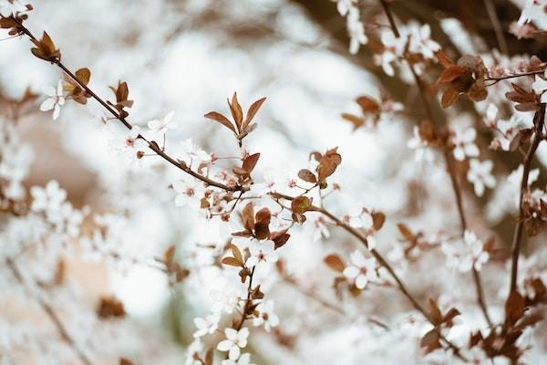支付寶花唄逾期多久會(huì)被起訴？金額達(dá)到多少會(huì)被起訴？