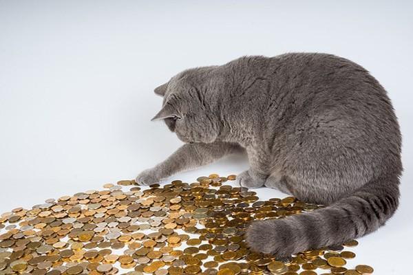 度小滿金融可以協(xié)商還款嗎？協(xié)商還款流程是什么？