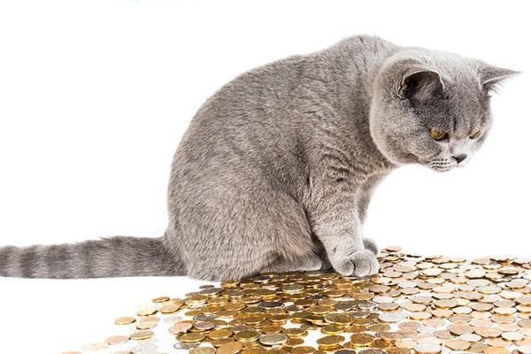 招聯(lián)金融逾期兩個月怎么樣？后果有這些