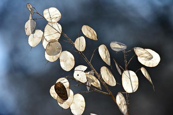 安逸花逾期利息太高該如何？起訴費(fèi)用需要自己承擔(dān)嗎？