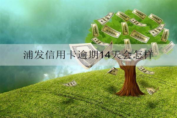浦發(fā)信用卡逾期14天會(huì)怎樣？如何挽救？