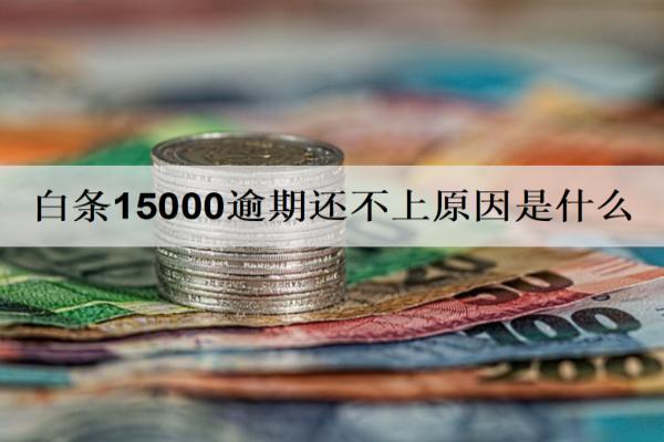 白條15000逾期還不上原因是什么？還不上如何解決？