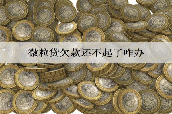 微粒貸欠款還不起了咋辦？微粒貸欠款還不起解決方案分析