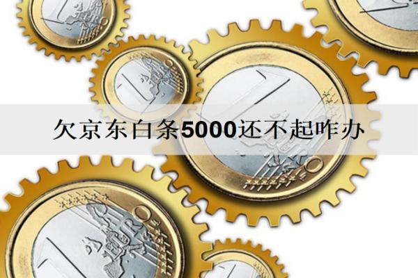欠京東白條5000還不起咋辦？會被起訴嗎？