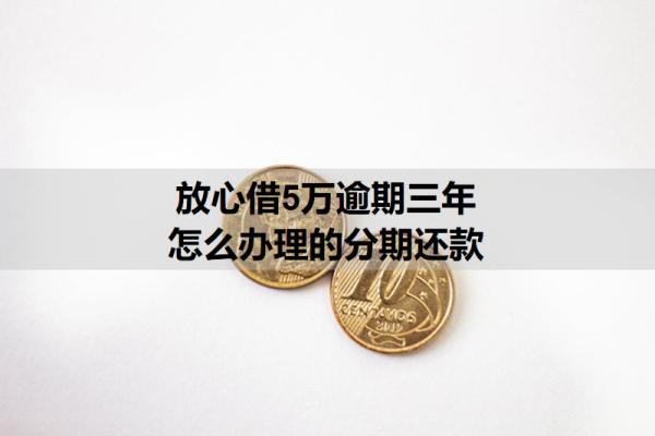 放心借5萬(wàn)逾期三年怎么辦理的分期還款？詳細(xì)分期步驟分析