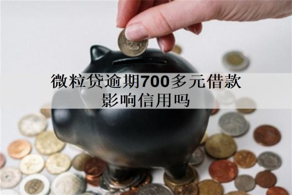 微粒貸逾期700多元借款影響信用嗎？如何避免出現(xiàn)逾期的情況？
