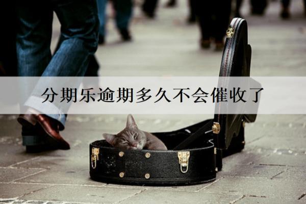 分期樂逾期多久不會(huì)催收了？怎么解決最好？