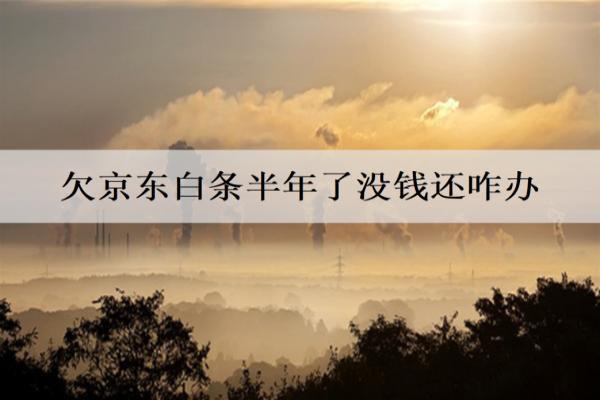 欠京東白條半年了沒錢還咋辦？會坐牢嗎？