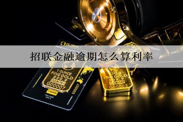招聯(lián)金融逾期怎么算利率？逾期如何協(xié)商償還？