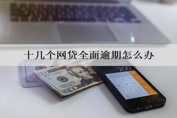 十幾個(gè)網(wǎng)貸全面逾期怎么辦？網(wǎng)貸全面逾期解決辦法及后果分析