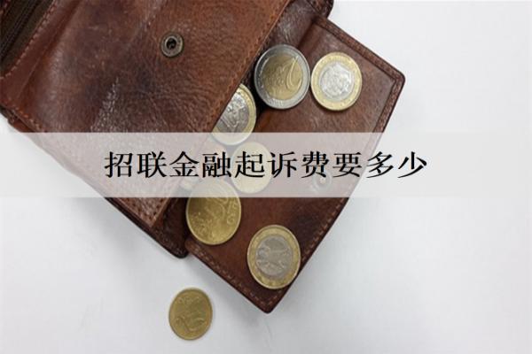 招聯(lián)金融起訴費(fèi)要多少錢？