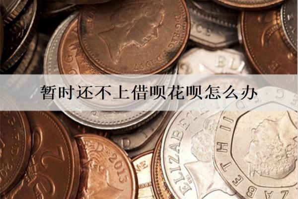 暫時(shí)還不上借唄花唄怎么辦？會怎么樣？