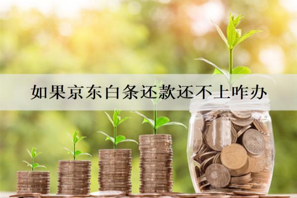 如果京東白條還款還不上怎么辦？