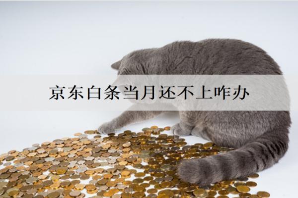 京東白條當(dāng)月還不上咋辦？三個解決辦法