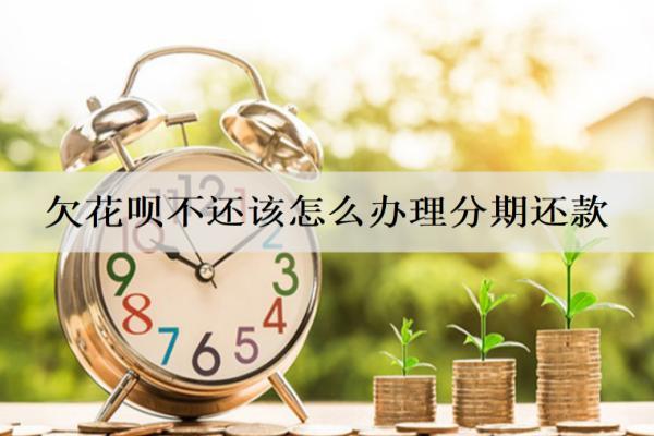 欠花唄不還該怎么辦理分期還款？辦理步驟介紹