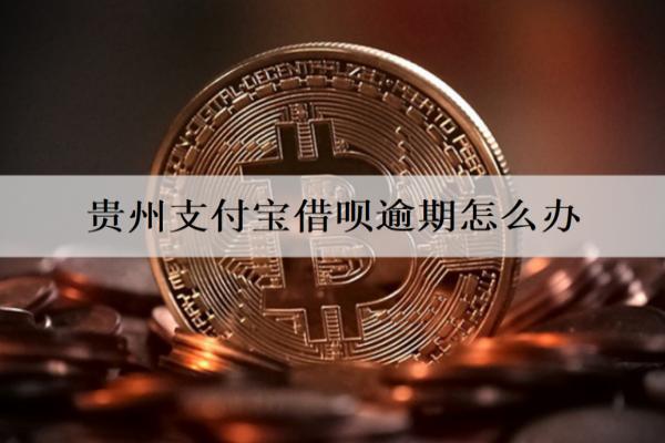 貴州支付寶借唄逾期怎么辦？會有什么后果？