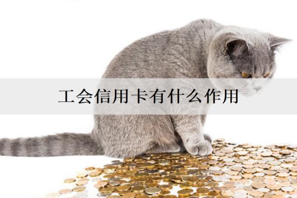 工會(huì)信用卡有什么作用？