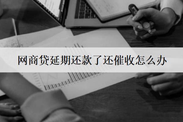 網(wǎng)商貸延期還款了還催收怎么辦？按這個(gè)辦法應(yīng)對(duì)