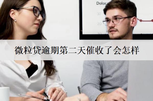 微粒貸逾期第二天催收了會怎么樣？怎么辦？