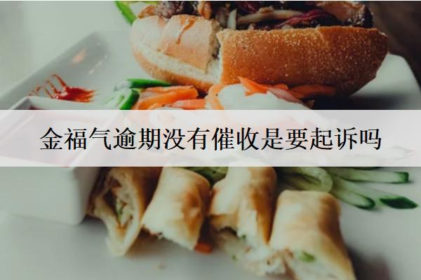 金福氣逾期沒(méi)有催收是要起訴嗎？起訴會(huì)怎樣？