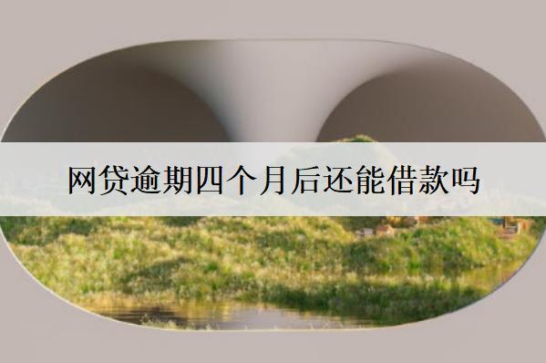 網(wǎng)貸逾期四個(gè)月后還能借款嗎？