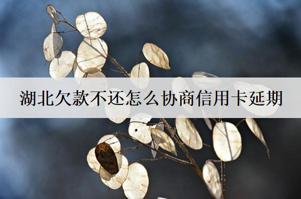湖北欠款不還怎么協(xié)商？詳細(xì)協(xié)商流程分享