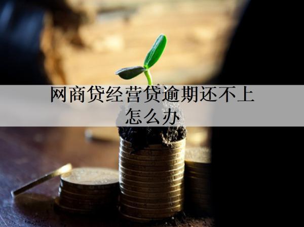 網(wǎng)商貸經(jīng)營貸逾期還不上怎么辦？分享四個解決辦法