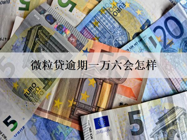 微粒貸逾期一萬六會(huì)怎樣？會(huì)上門催收嗎？