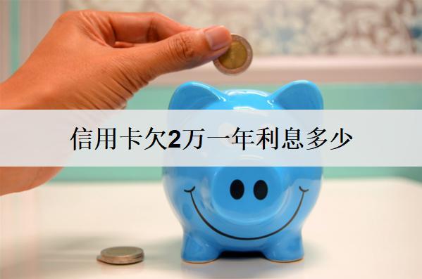 信用卡欠2萬一年利息多少？能協(xié)商只還本金嗎？