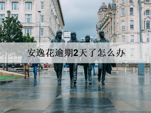 安逸花逾期2天了怎么辦？安逸花逾期應(yīng)對(duì)策略