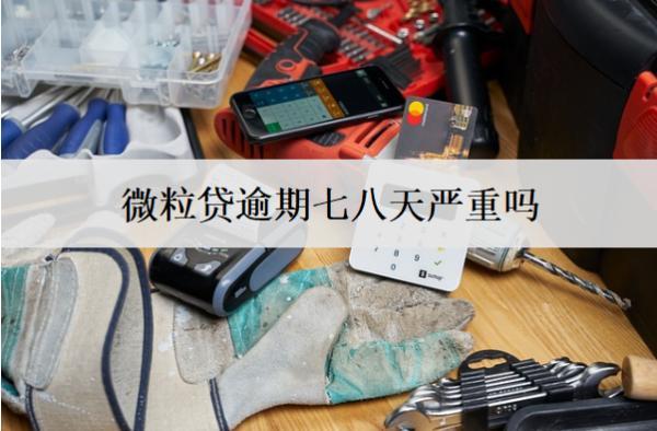 微粒貸逾期七八天嚴(yán)重嗎？怎么避免逾期情況發(fā)生？