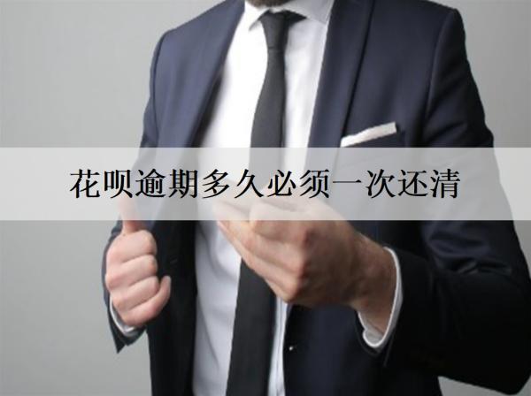花唄逾期多久必須一次還清？詳細(xì)花唄逾期后果盤(pán)點(diǎn)
