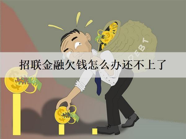 招聯(lián)金融欠錢怎么辦還不上了？逾期會怎樣嗎？