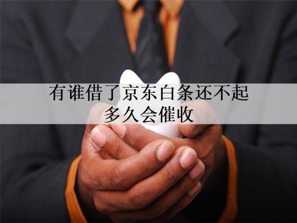 有誰借了京東白條還不起多久會催收？逾期會馬上被催收