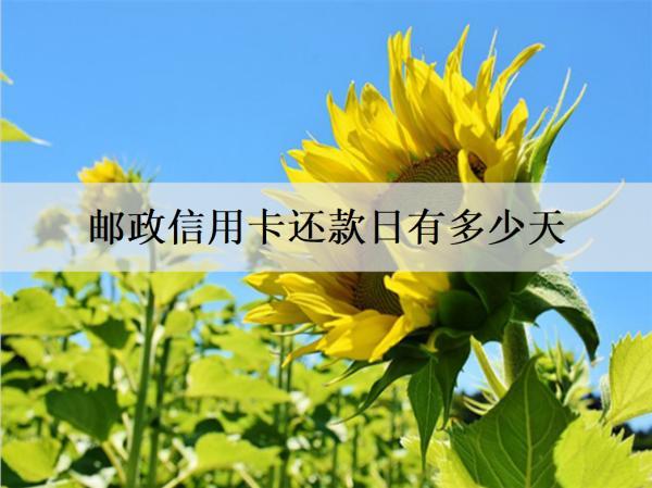 郵政信用卡還款日有多少天？20天，且還有4天容時(shí)服務(wù)