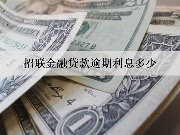 招聯(lián)金融貸款逾期利息多少？暫時無力償還怎么解決？