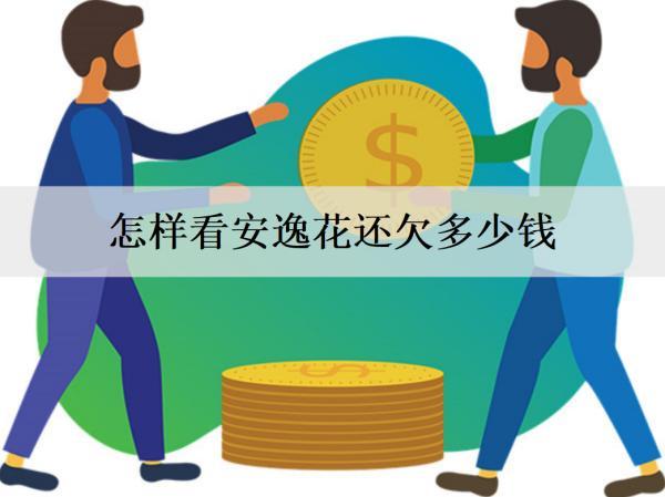 怎樣看安逸花還欠多少錢？欠錢逾期會怎樣？
