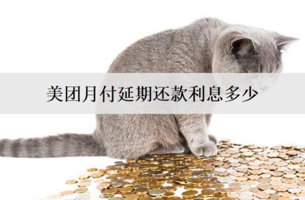 美團月付延期還款利息多少？延期還款受什么因素影響？