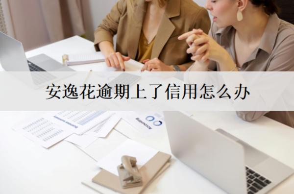 安逸花逾期上了信用怎么辦？安逸花逾期上信用解決辦法及影響