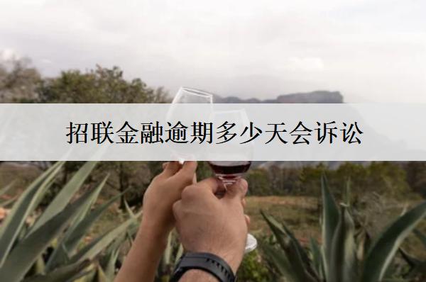 招聯(lián)金融逾期多少天會(huì)訴訟？起訴我了該怎么解決？