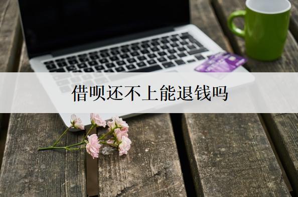 借唄還不上能退錢(qián)嗎？逾期會(huì)采取哪些催收措施？
