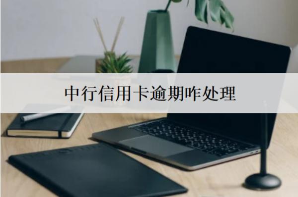 中行信用卡逾期咋處理？中行信用卡逾期處理方法解析