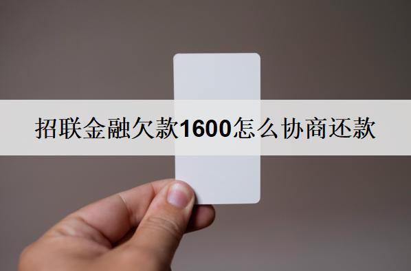 招聯(lián)金融欠款1600怎么協(xié)商還款？盤點招聯(lián)金融詳細協(xié)商步驟