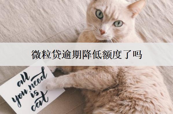 微粒貸逾期降低額度了嗎？微粒貸逾期被降額處理辦法