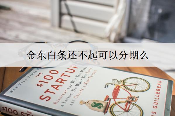 京東白條還不起可以分期么？分期好嗎？